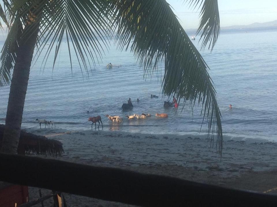 Villa Mena Nosy-Be Bagian luar foto